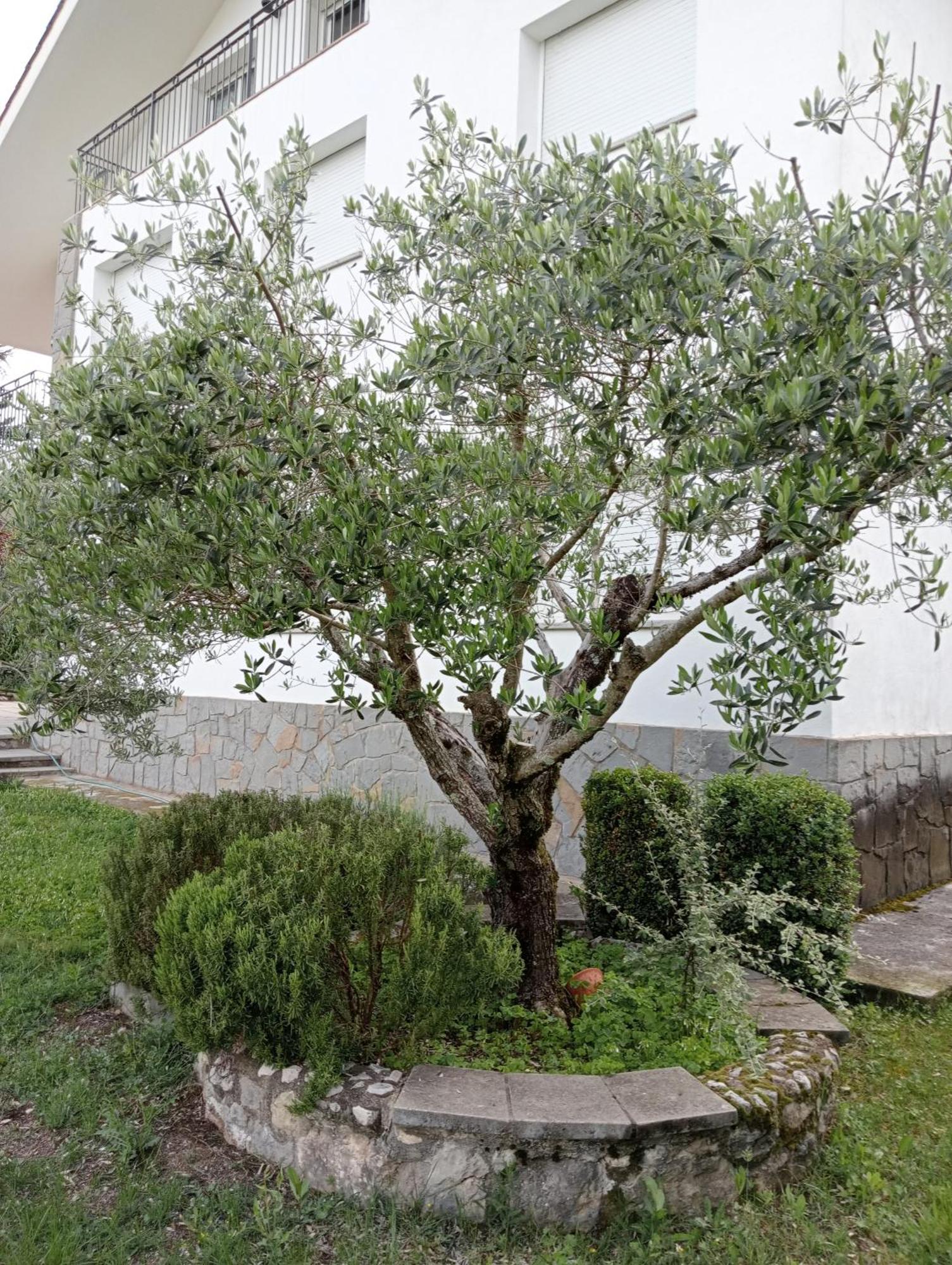 Apartamento-Casa Turistica L'Espigol San Lorenzo de Morunys Buitenkant foto